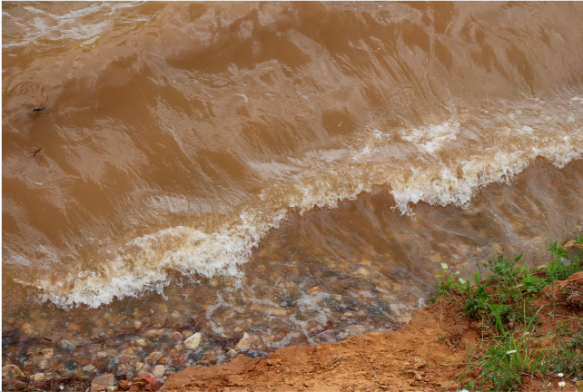 можайское водохранилище виды рыб. Смотреть фото можайское водохранилище виды рыб. Смотреть картинку можайское водохранилище виды рыб. Картинка про можайское водохранилище виды рыб. Фото можайское водохранилище виды рыб